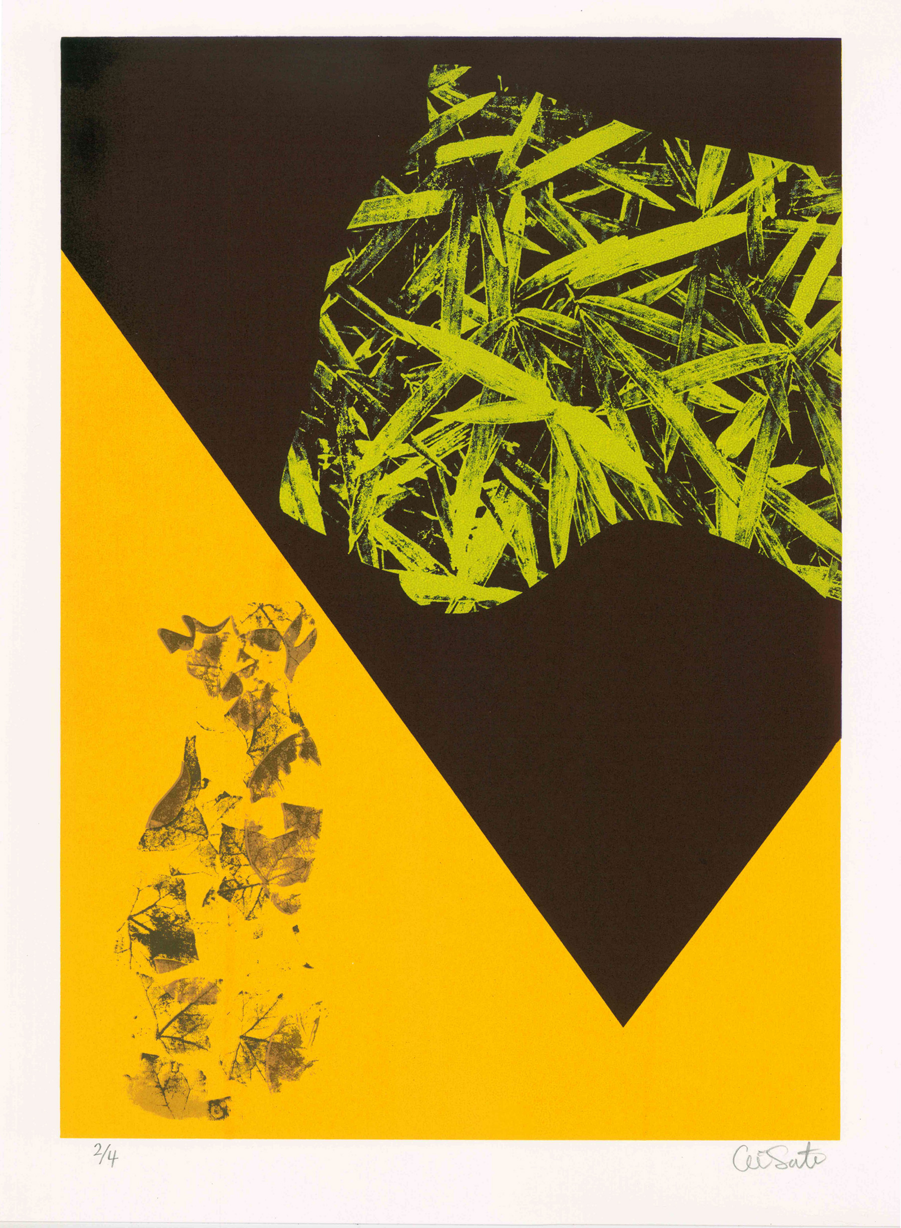 とら猫に恋したトラ